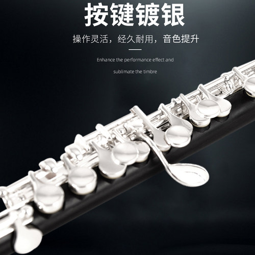 正品原装TAAN 乌木短笛乐器 C调 白铜镀银按键初学演奏考级 - 图0
