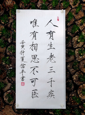 瘦金体手写毛笔字书法作品软笔代写定制书房字画代写可装裱卷轴框
