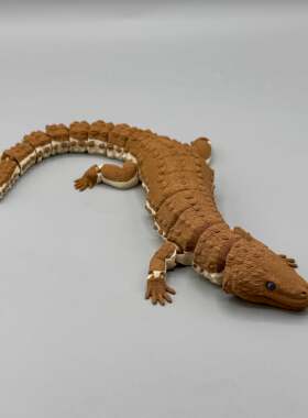 DIY定制-Earless Monitor Lizard无耳巨蜥模型全关节可动仿生科教