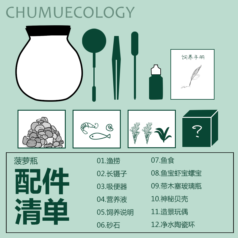 生态瓶观赏小鱼diy微景观免换水造景材料活动礼物水草斑马小鱼缸 - 图2