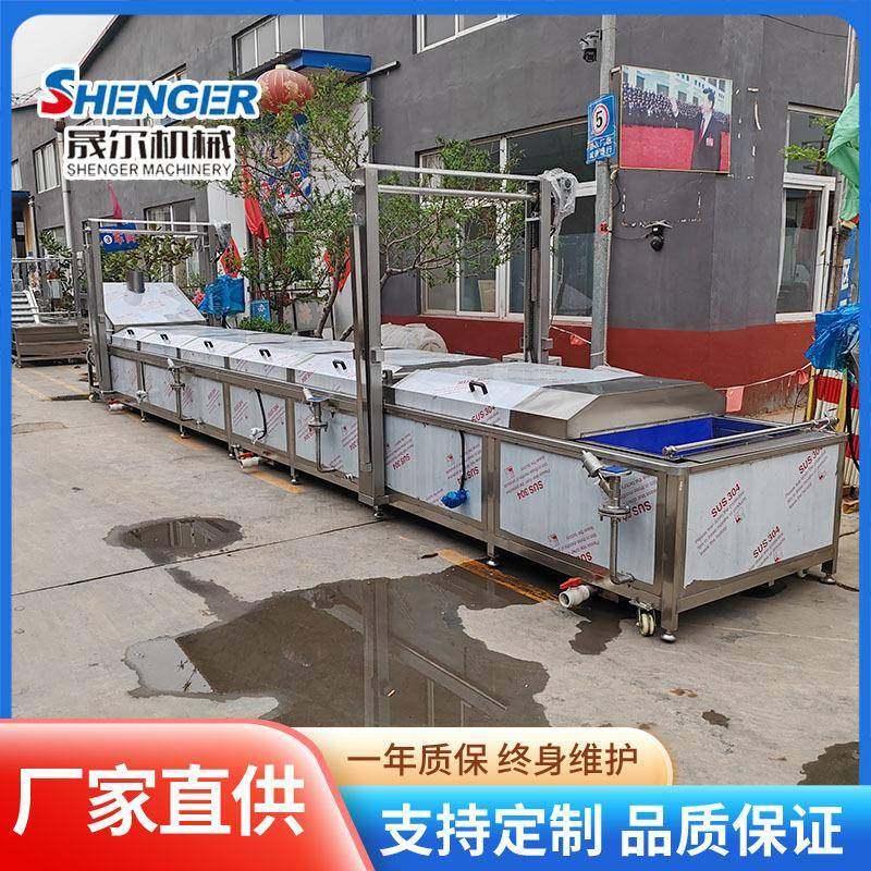 大型叶类蔬菜杀青护色机 黄桃漂烫机 提升水浴式竹笋漂烫机,淘宝优惠券,粉丝福利购,淘宝优惠卷