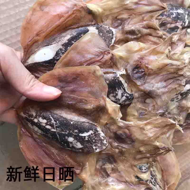 淡晒 墨鱼干 乌贼鱼墨斗鱼乌贼目鱼 野生大乌鱼海鲜干货500g