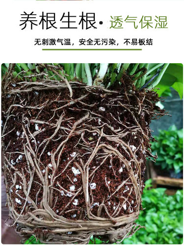 土中土绿萝土壤专用土营养土家用通用型发财树土壤透气泥炭土包邮 - 图2