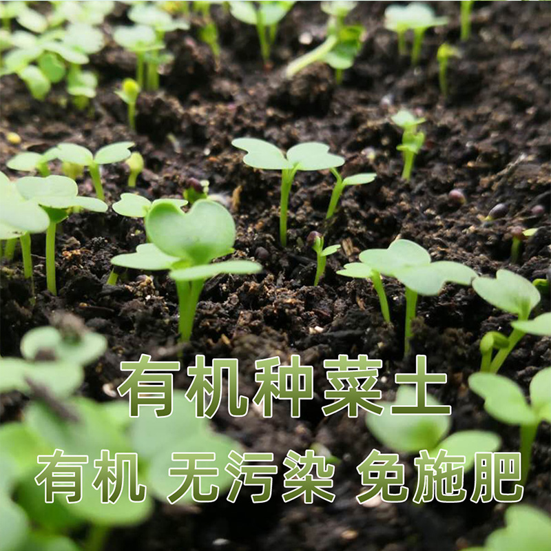 土壤营养土种菜专用土家用阳台种植有机蔬菜肥料育苗营养肥土种菜-图0