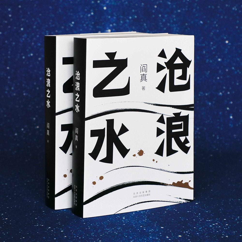 【官方自营】沧浪之水电视剧岁月原著小说现货阎真官场职场畅销励志经典考公国考人民的名义如何是好茅盾文学奖正版包邮图书-图3