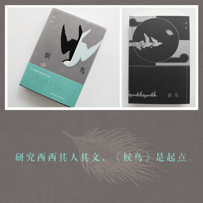 候鸟西西莫言、余华、王安忆、梁文道推崇备至的香港作家西西长篇自传体小说飞毡白发阿娥及其他-图1