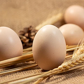 云依禾农庄正宗土鸡蛋30枚农家散养新鲜[6元优惠券]-寻折猪