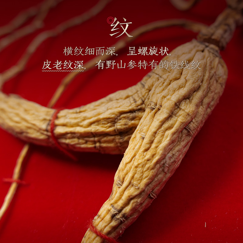 东北吉林正宗长白山45年林下礼盒 长白山人参山参