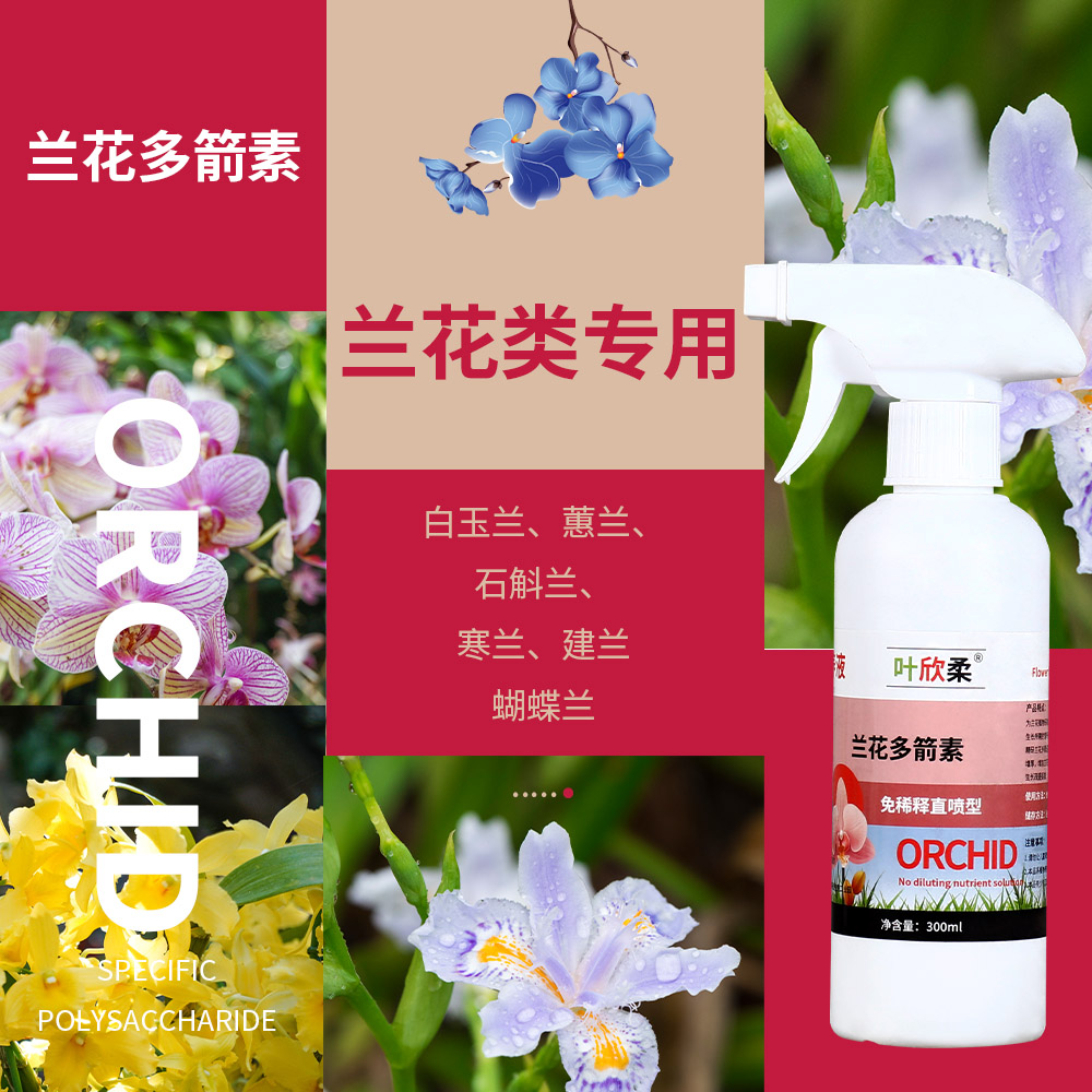 兰花多箭素免稀释专用营养液催花延花期治黄叶专用液体肥浓缩液体 - 图0