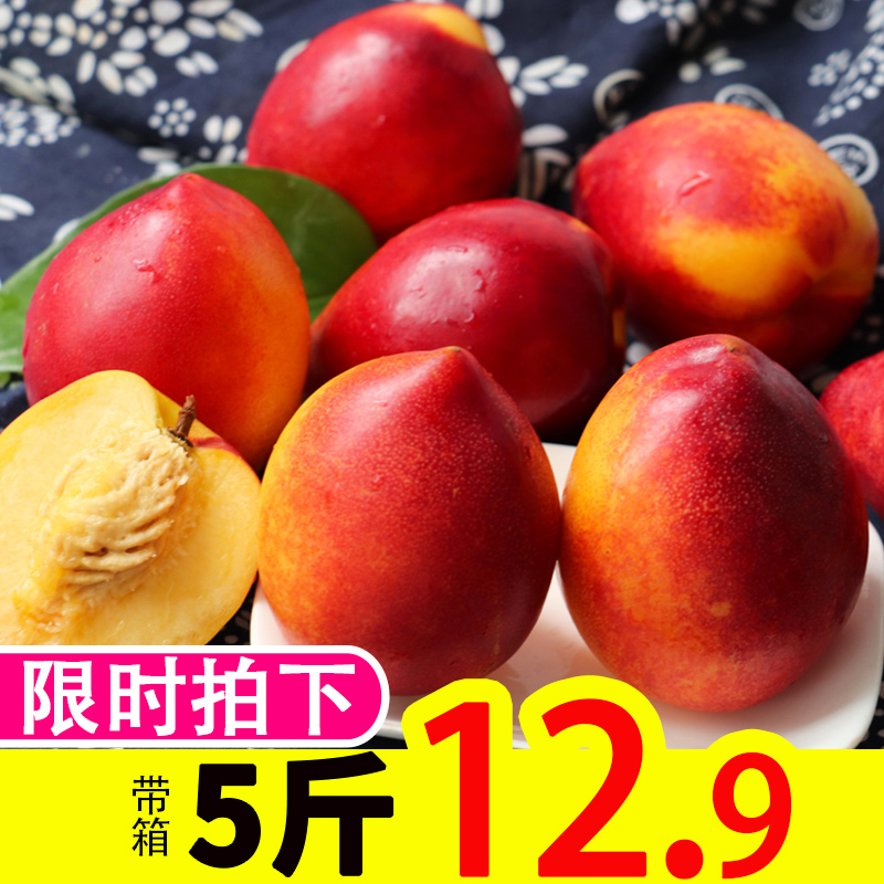 果语恋旗舰店黄心油桃现货5斤新鲜水果应当季孕妇现摘脆甜大桃子整箱非水蜜桃0