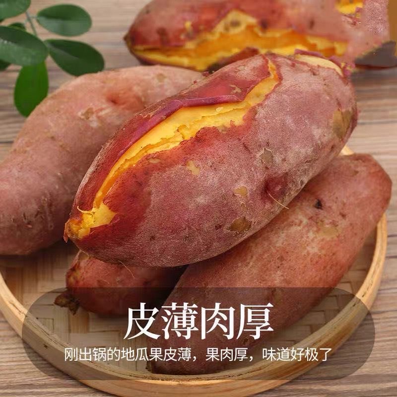 果语恋旗舰店现摘现发板栗红薯黄心红薯新鲜红薯农家红薯香甜蜜薯十斤装3