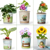 Комнатные посадки, выращенные вручную небольшие семена растений в горшках, гидропоника, студенческие призы, подарки для детского сада