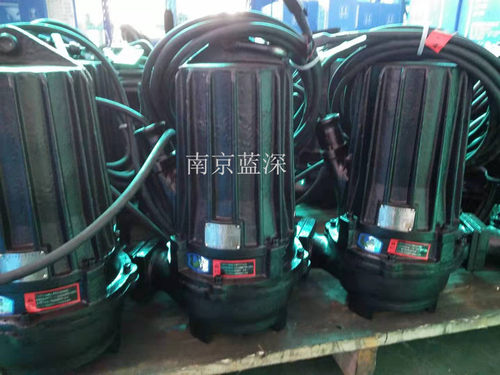 污水泵品质保证南京蓝深潜水排污泵WQ40-12-3KW口径50 - 图0