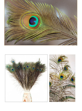 孔雀羽毛家居摆件花瓶插花DIY制作饰品手工文创简约现代特色自然