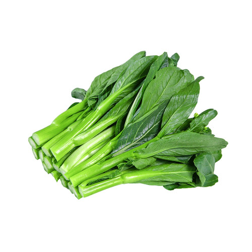 广东四九菜心菜种籽白菜苔种子红菜苔多芽菜心种青菜菜籽种孑南方 - 图3