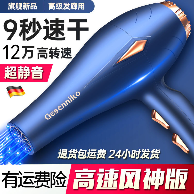 德国吹头发电吹风机家用高速3000W大风力男士负离子护发静音速干