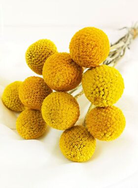 天然黄金球干花花束装饰品摆件满天星插花天然风干真花花束材料