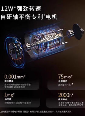 LANSAM零速电吹风机发型师理发店发廊用负离子护发家用大功率不伤