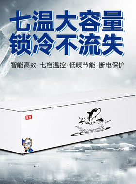 妮雪冰柜商用家用冷柜卧式大容量全冷冻柜展示柜冷冻冷藏大冰柜18