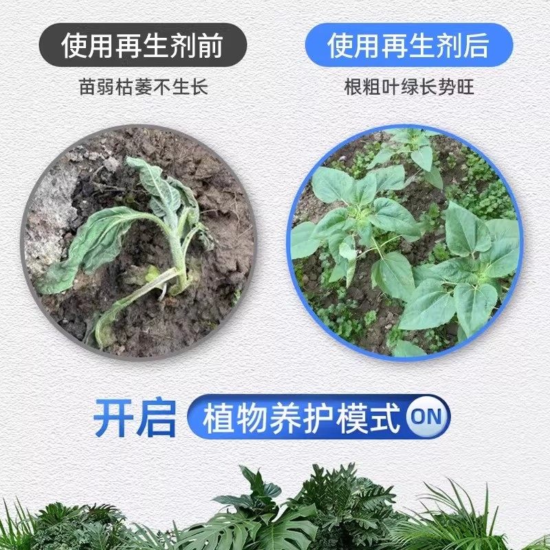 植物再生剂复活液通用营养液绿植多肉花卉光杆修复发黄生长加速,淘宝优惠券,粉丝福利购,淘宝优惠卷