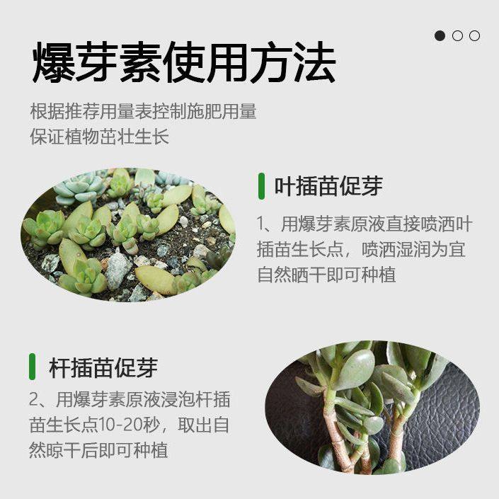 多肉专用营养液爆芽催芽生根液烂叶掉叶增色防徒长其它园艺用品,淘宝优惠券,粉丝福利购,淘宝优惠卷