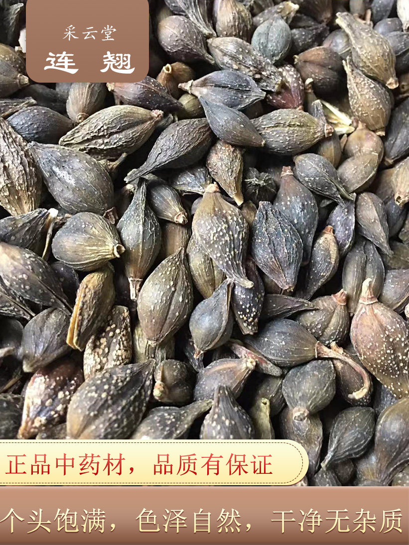 连翘1克云南连翘连壳青翘落翘连召连招连桥茶连翘壳粉中药材 - 小编推荐 - WePost 全民代运 - 马来西亚中国淘宝代运与集运专家
