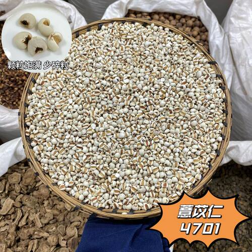 薏苡仁  大颗粒当季新货薏仁米100g起购 - 图0