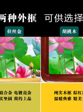 地藏菩萨佛像挂画内置动态佛光灯