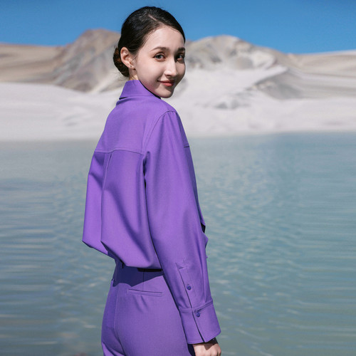 婉甸2025罗兰紫长袖衬衫简约风H型1241S07MS2 - 图3