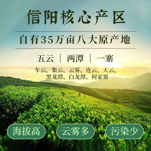 新茶龙潭信阳红特级红茶叶高山手工炒制80g罐正宗河南毛尖红 - 图1
