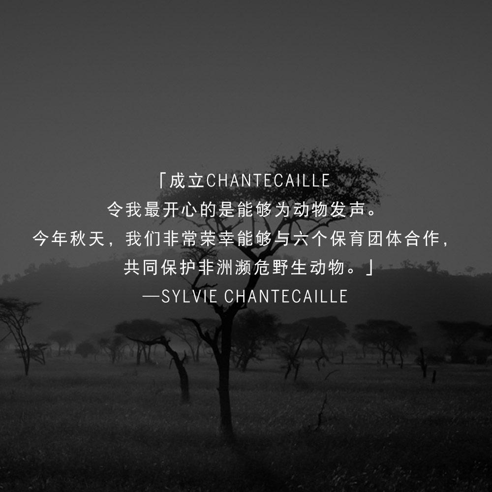 chantecaille /香缇卡动物系列眼影 Chantecaille海外眼影