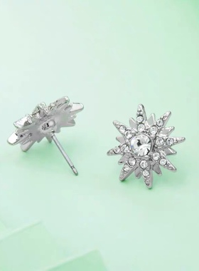 雪花绽放奥地利水晶耳钉