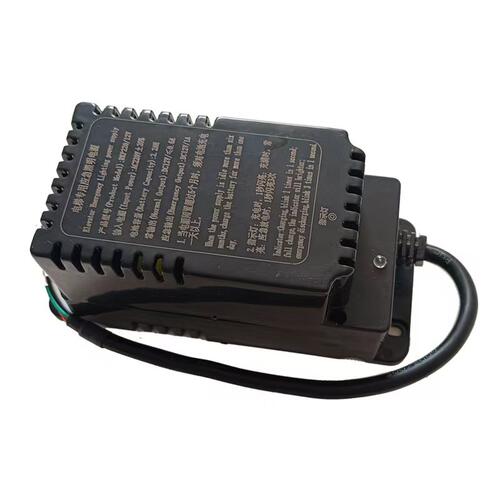 适用于博林特电梯专用应急照明电源/RKP220/12V对讲机轿顶电源BLT - 图2