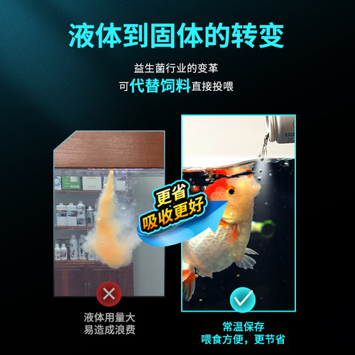 玛豆配合金鱼饲料用益生菌颗粒兰寿锦鲤等观赏鱼肠道健康消化 - 图0