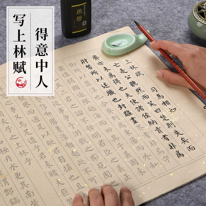 毛练字帖 新人首单立减十元 22年3月 淘宝海外