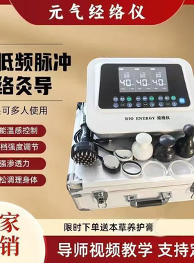 长青中国元气植值同款经络仪器品牌椎养生美容院专用