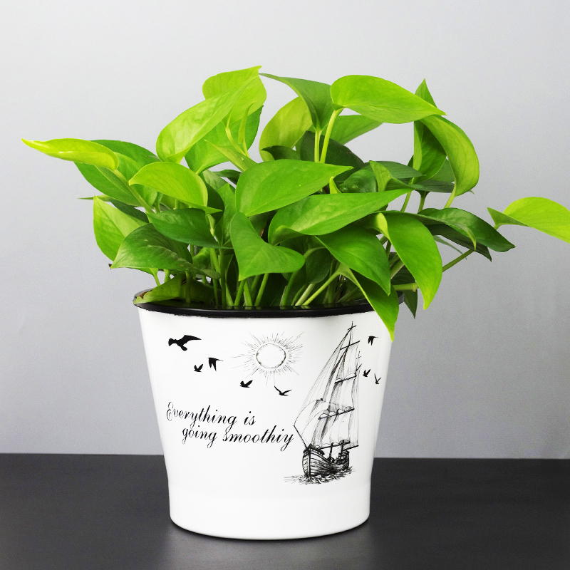 自动吸水懒人花盆欧式风情绿萝盆栽双层加厚水培塑料储水盆送棉绳,淘宝优惠券,粉丝福利购,淘宝优惠卷