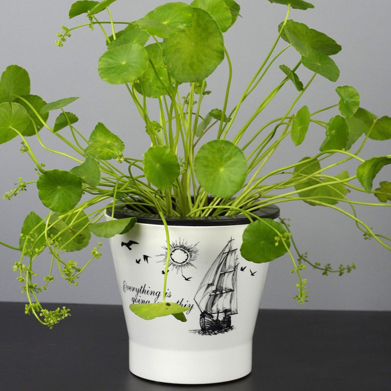 自动吸水懒人花盆欧式风情绿萝盆栽双层加厚水培塑料储水盆送棉绳,淘宝优惠券,粉丝福利购,淘宝优惠卷