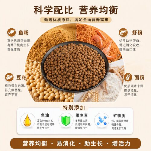 高钙龟粮高蛋白石金钱饲料上浮颗粒虾皮火焰蛋龟鳄龟草龟通用散装 - 图0