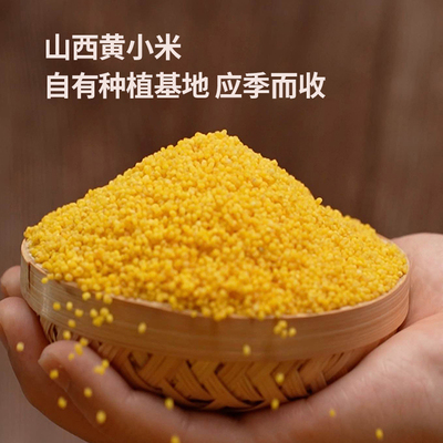 一禾谷香山西黄小米旱作小米