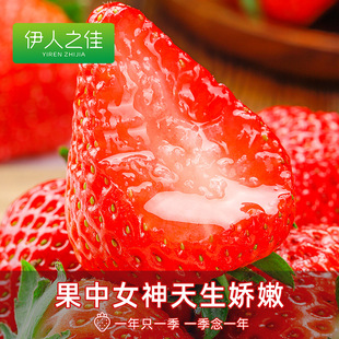 25-30枚！红颜奶油草莓500g