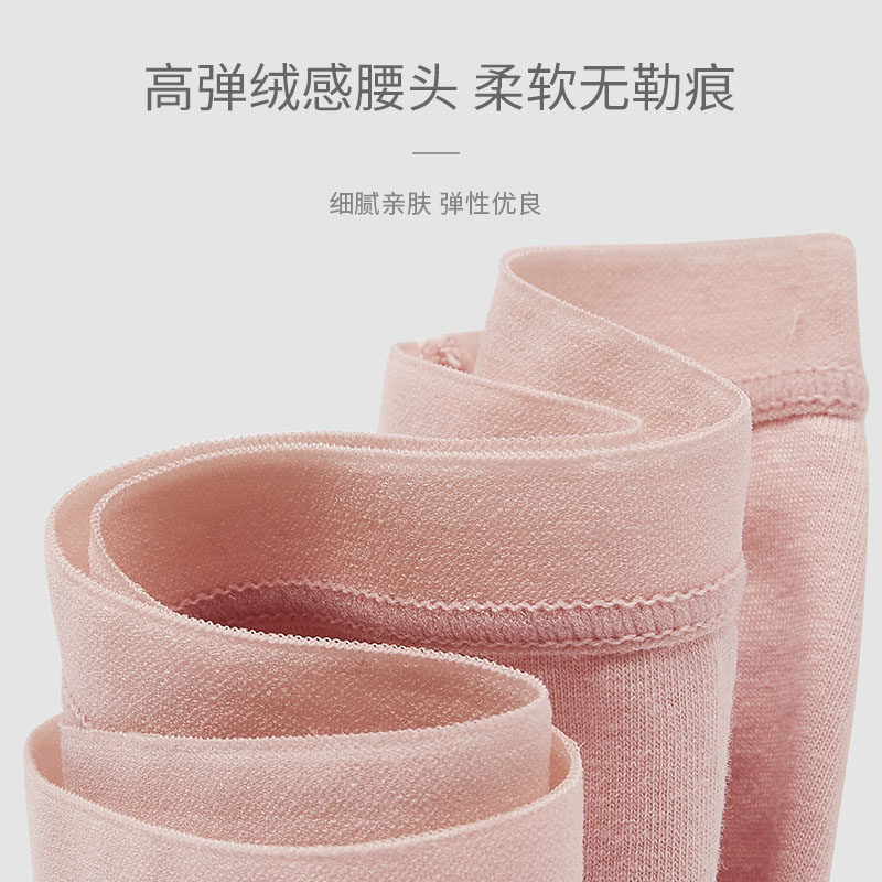 七色纺纯棉女士高弹抗菌艾草短裤 七色纺旗舰女三角裤