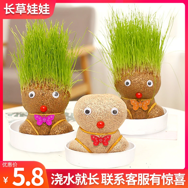草头娃娃浇水头上长草人绿植长头发儿童好养种草幼儿园桌面小盆栽 - 图0