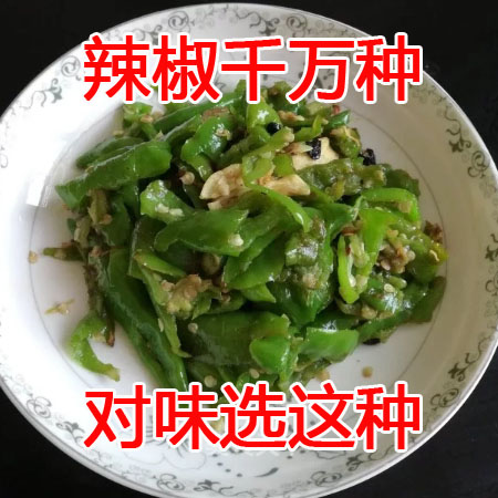 湖南本地新鲜薄皮青椒辣椒农家自种微辣新鲜蔬菜软皮青椒现摘现发