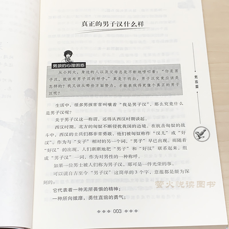 正版包邮 了不起男孩的心理成长枕边书 心理成长书系 家庭教育 阳刚男孩成长 中小学生青春期男孩教育励志书 青少年心理学辅导书籍 - 图2