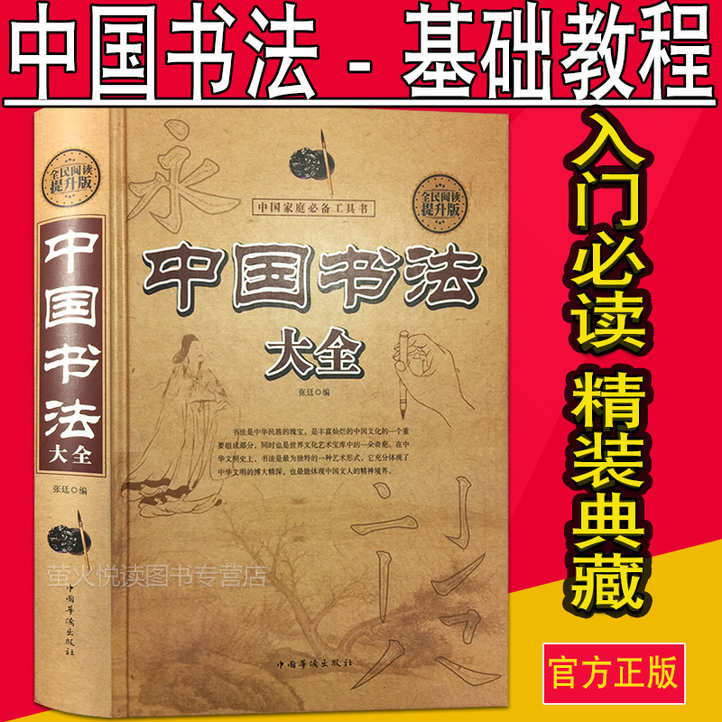 中国书法大全入门 传世书法技法全集 初学者学习练习毛笔书法基础教程教学书籍成人字体练字书法教材国学经典历代名家书法培训理论 - 图3