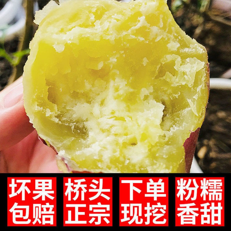 海南澄迈正宗富硒桥头地瓜红薯5斤9斤新鲜包邮板栗薯番薯