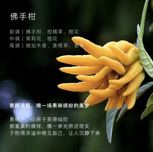 意大利进口Tesori D’oriente东方宝石土耳其精油身体乳 柔软嫩肤 - 图2