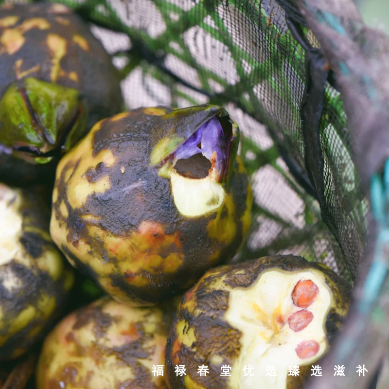 生 芡实600g 正宗肇庆生芡实欠实  召术 干货  鸡头米果 - 图1