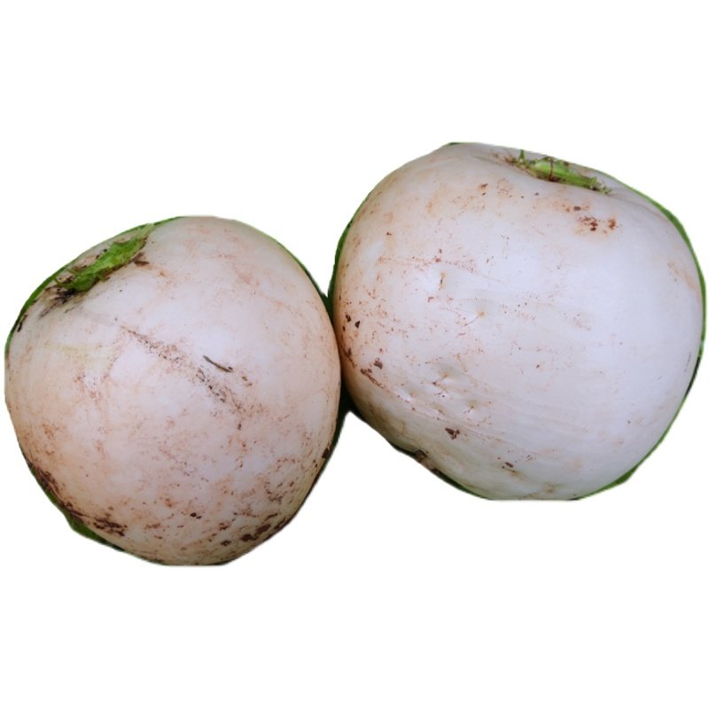 四川圆白萝卜农家自种蔬菜新鲜当季春不老炖汤萝卜泡菜圆根萝卜,淘宝优惠券,粉丝福利购,淘宝优惠卷